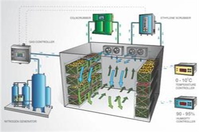 Controlled Atmosphere Storage In Pune - Bizporto
